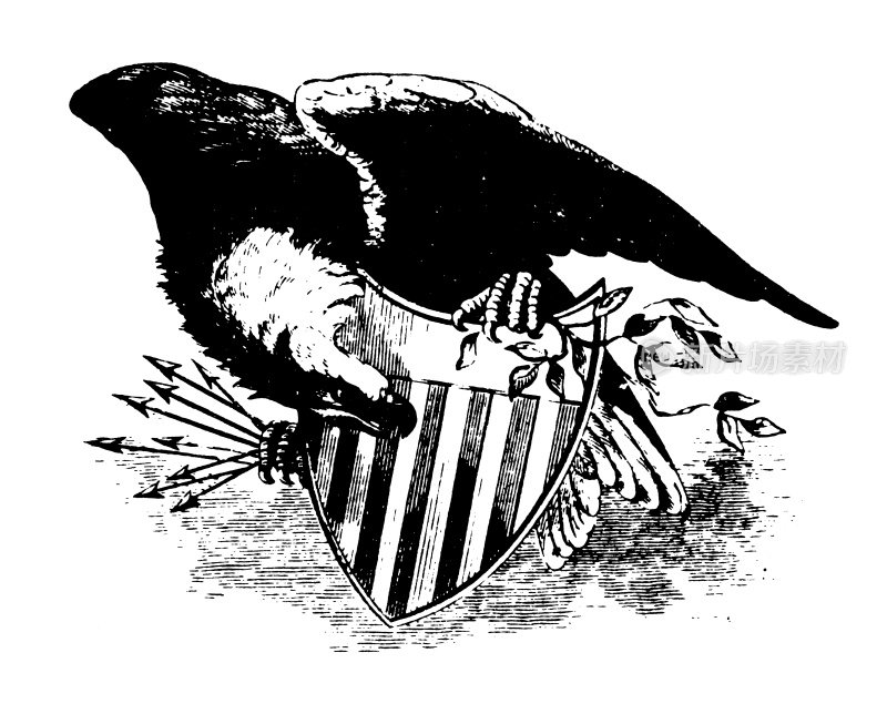 美国鹰|早期木刻插图